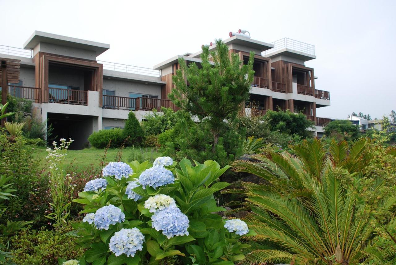 Jeju Eco Suites Seogwipo Exterior photo